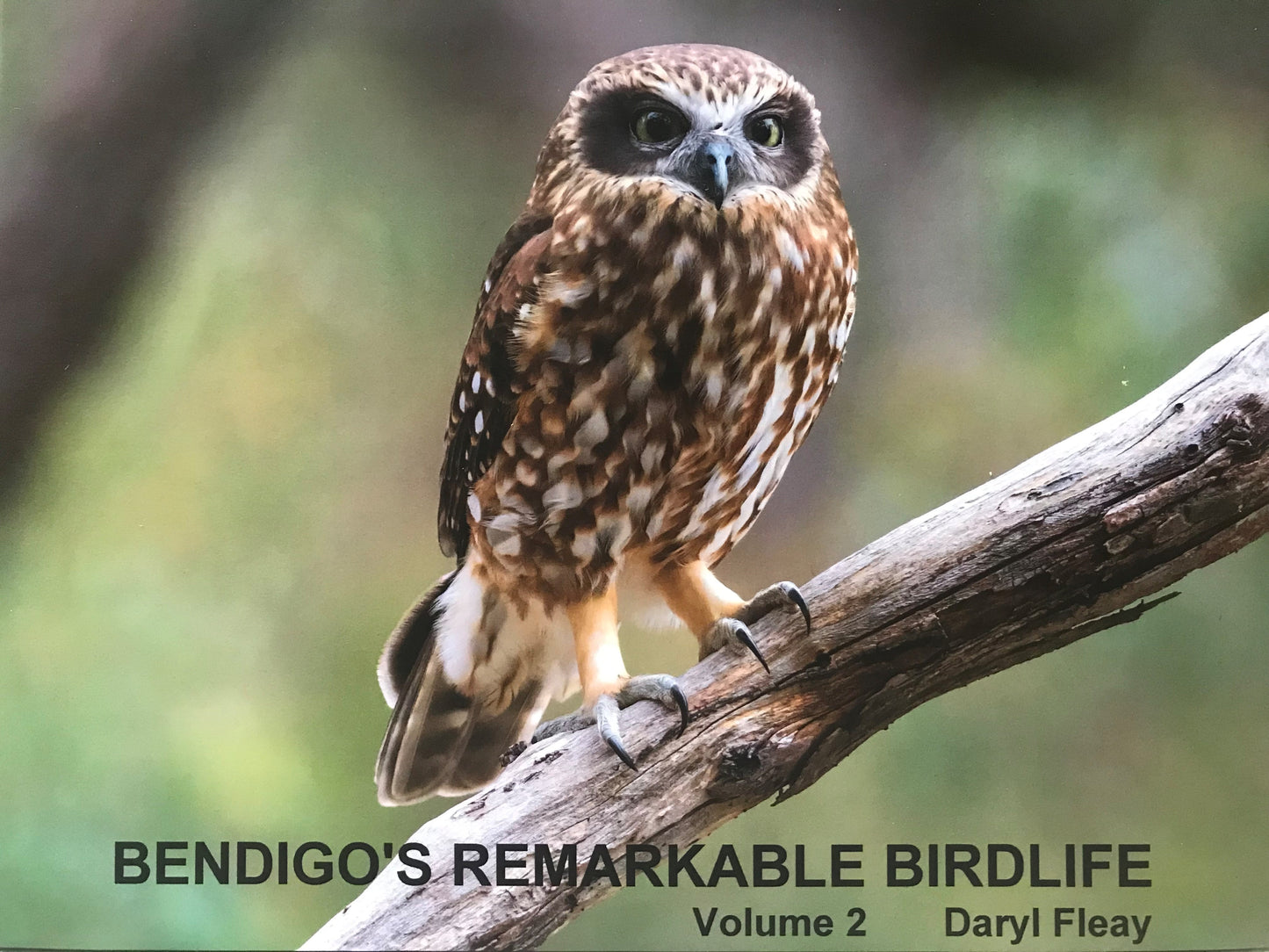 Daryl Fleay Bendigo's Remarkable Birdlife