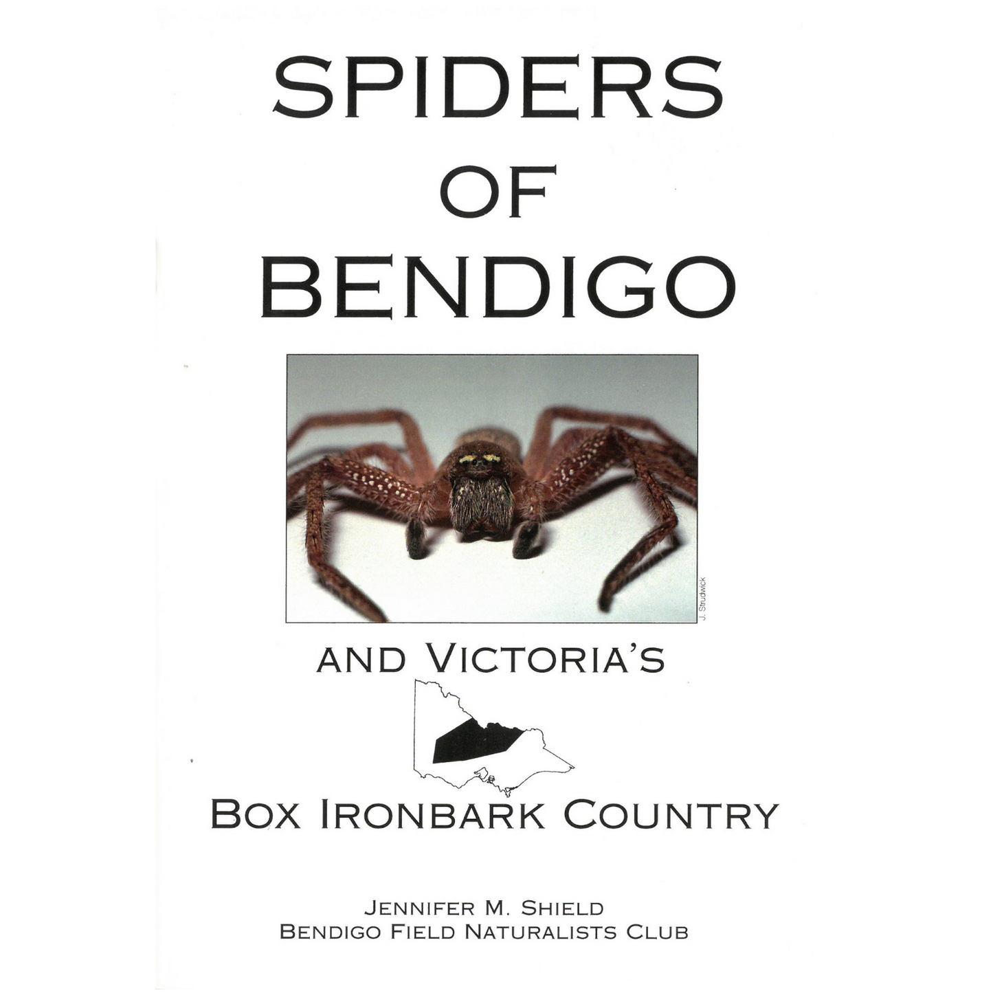 Field Naturalists -Spiders of Bendigo